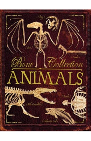 Bone Collection: Animals Flexibound – August 27, 2013